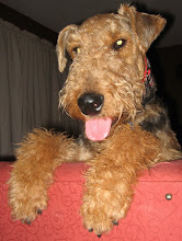 Best In Show-Stanley