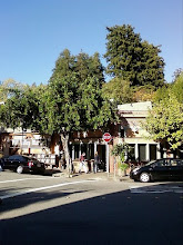 The Mill Valley Market