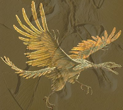 20081201090425-archaeopteryx%5B1%5DFanta
