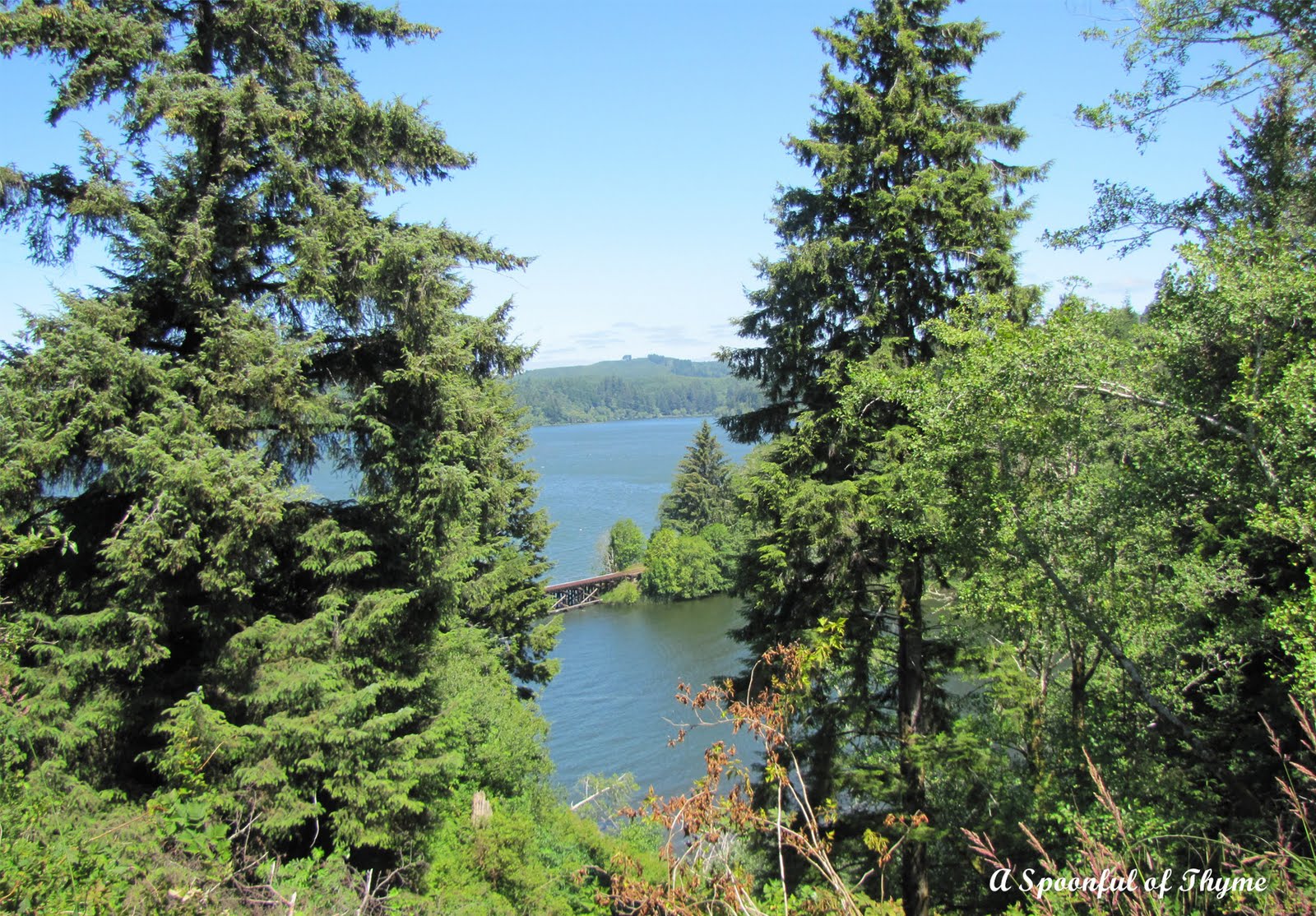 Central Oregon Coast Siltcoos Lake