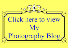 My Photo Blog