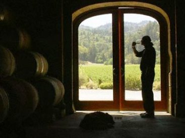 [wine+academy+1.jpg]