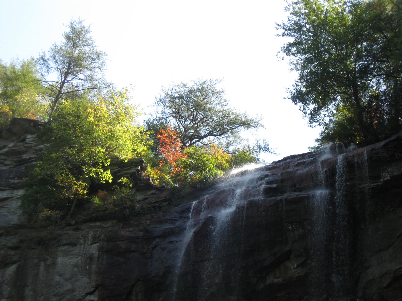 [Fall+Creek+Falls+9-29-08+025.jpg]