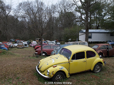 Volkswagen junk yard