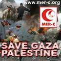 For Palestine