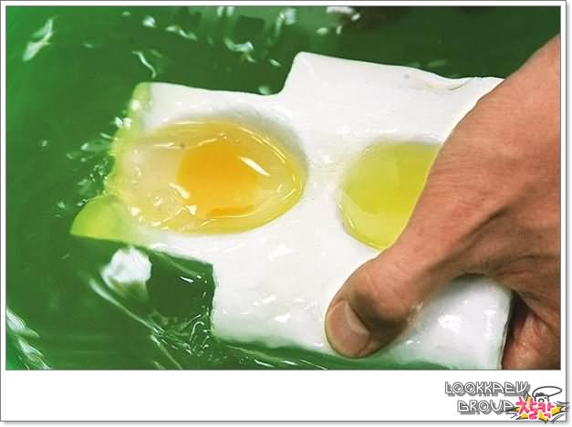 [fake+eggs+6.jpg]