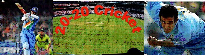 20-20 cricket