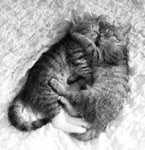 Kami and Prieto