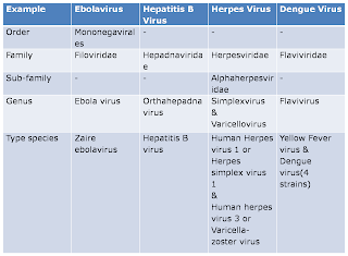 All about Viruses: Classification of Viruses