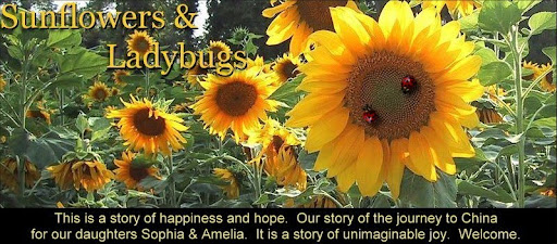 Sunflowers and Ladybugs