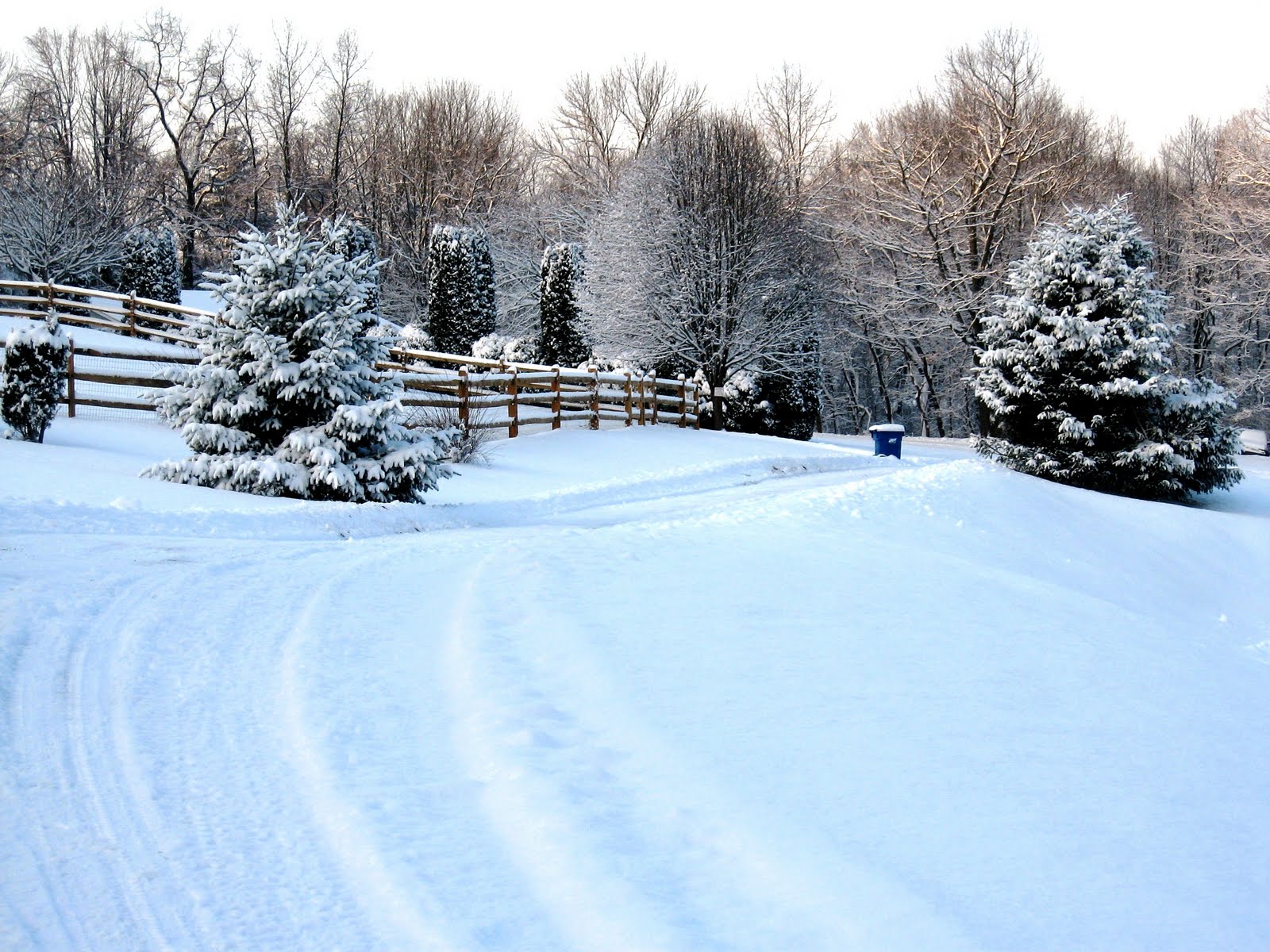 Annie Strack news Snow Day!