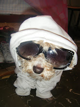 My dog!