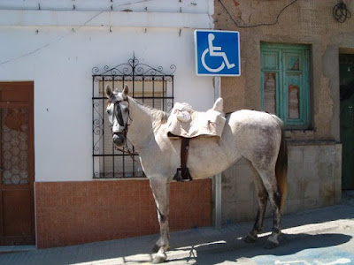 caballo+mal+aparcado.JPG