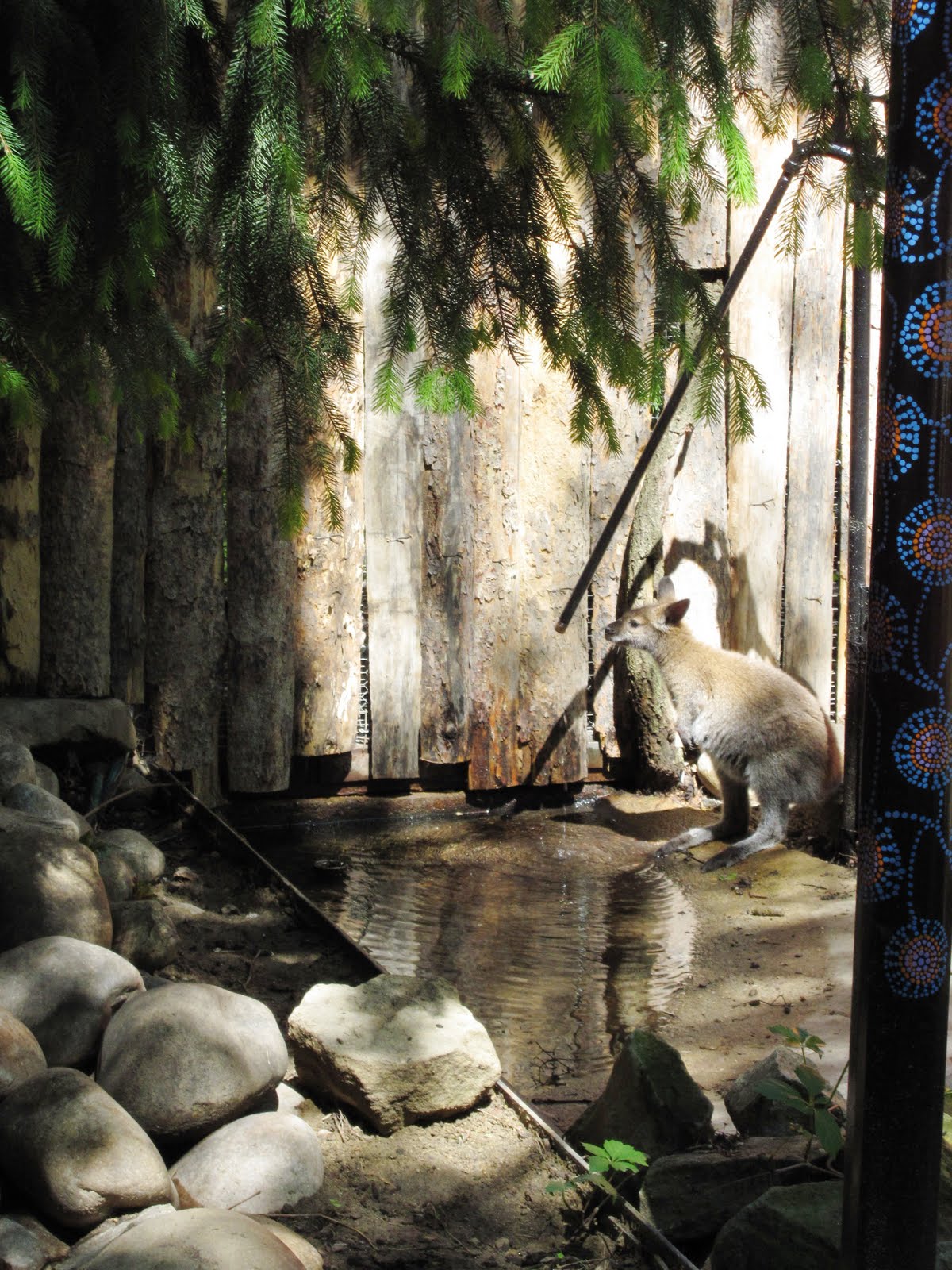 The Ineck Family Boise Zoo