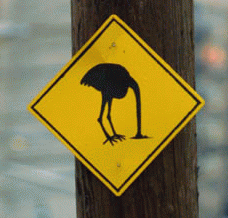 ostrich+head+in+sand+sign.gif