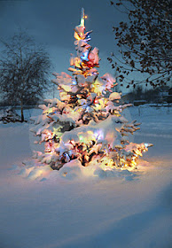 Christmas tree in snow with colored lights for Pinterest.