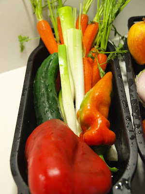  salsa de tomate con verduras 