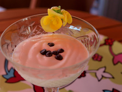  Helado de yogur natural (apto para diabeticos) 