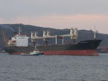 A typical HandyMax bulk carrier