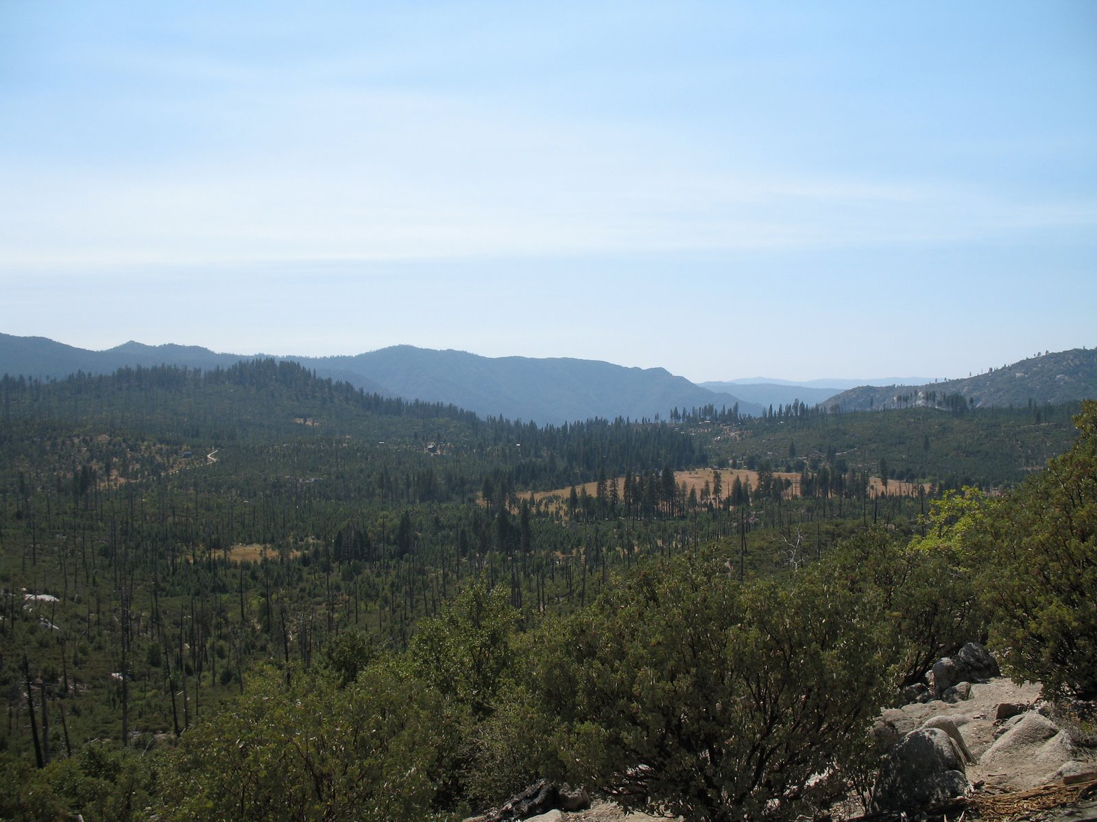 [IMG_0558.JPG]