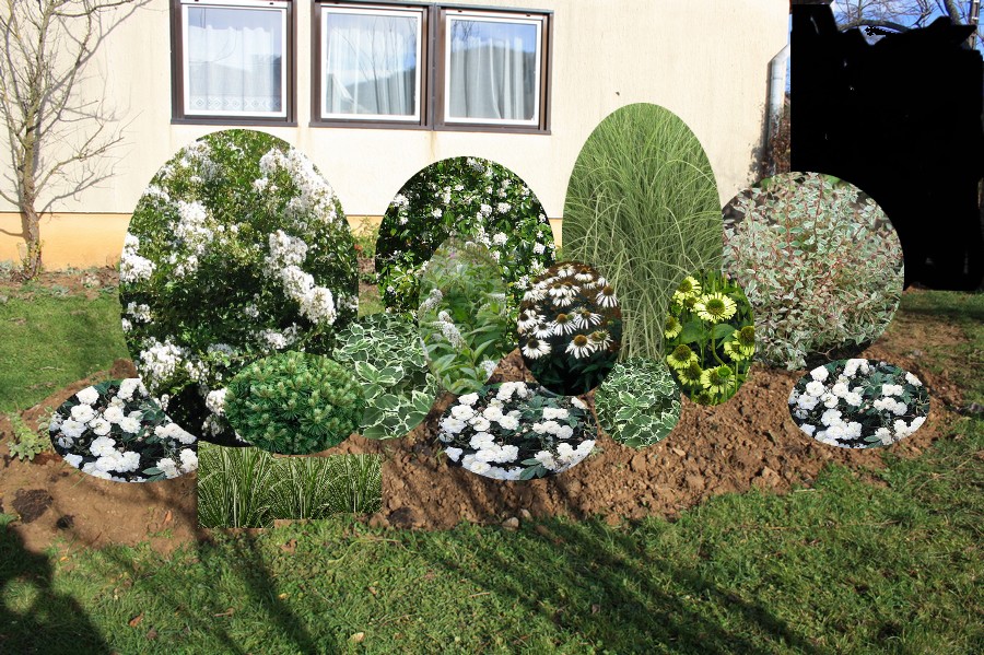 Ledoubsjardindanabel