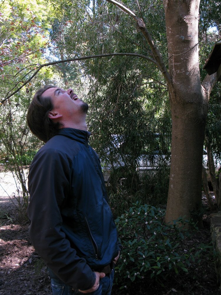 [IMG_1429.jpg]