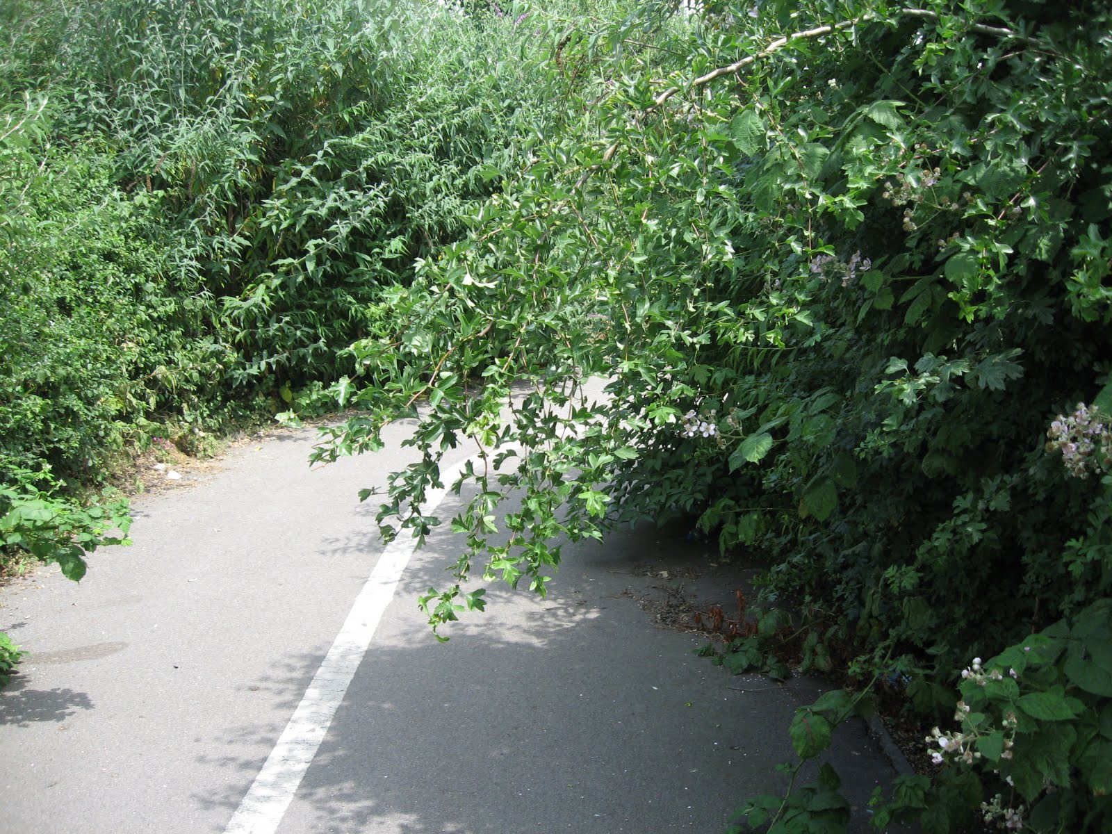 Crap Cycling & Walking in Waltham Forest: ‘I have given up riding my ...