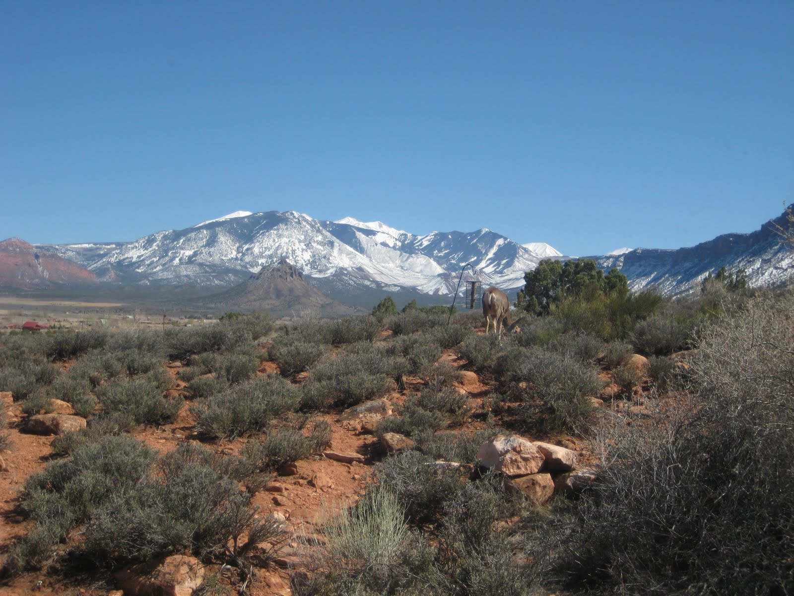 Castle Valley UT House & Lot For Sale House