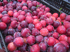 Saturday Greenmarket