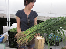 Saturday Greenmarket