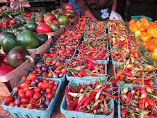 Saturday Greenmarket