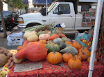 Wednesday Greenmarket