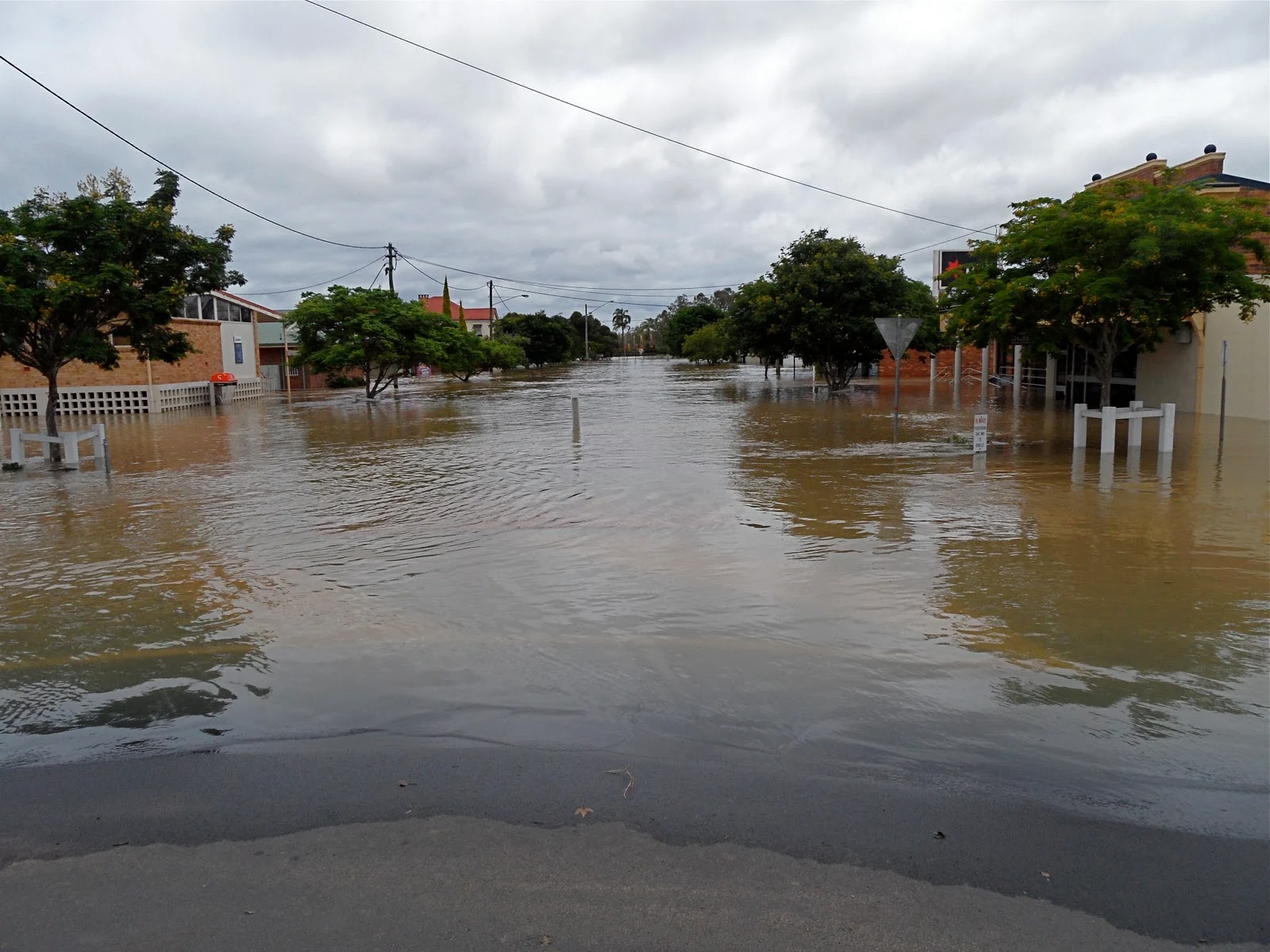 Lush Evacuation Warning Issued As Flood Peak Looms For Chinchilla Wallpaper Art
