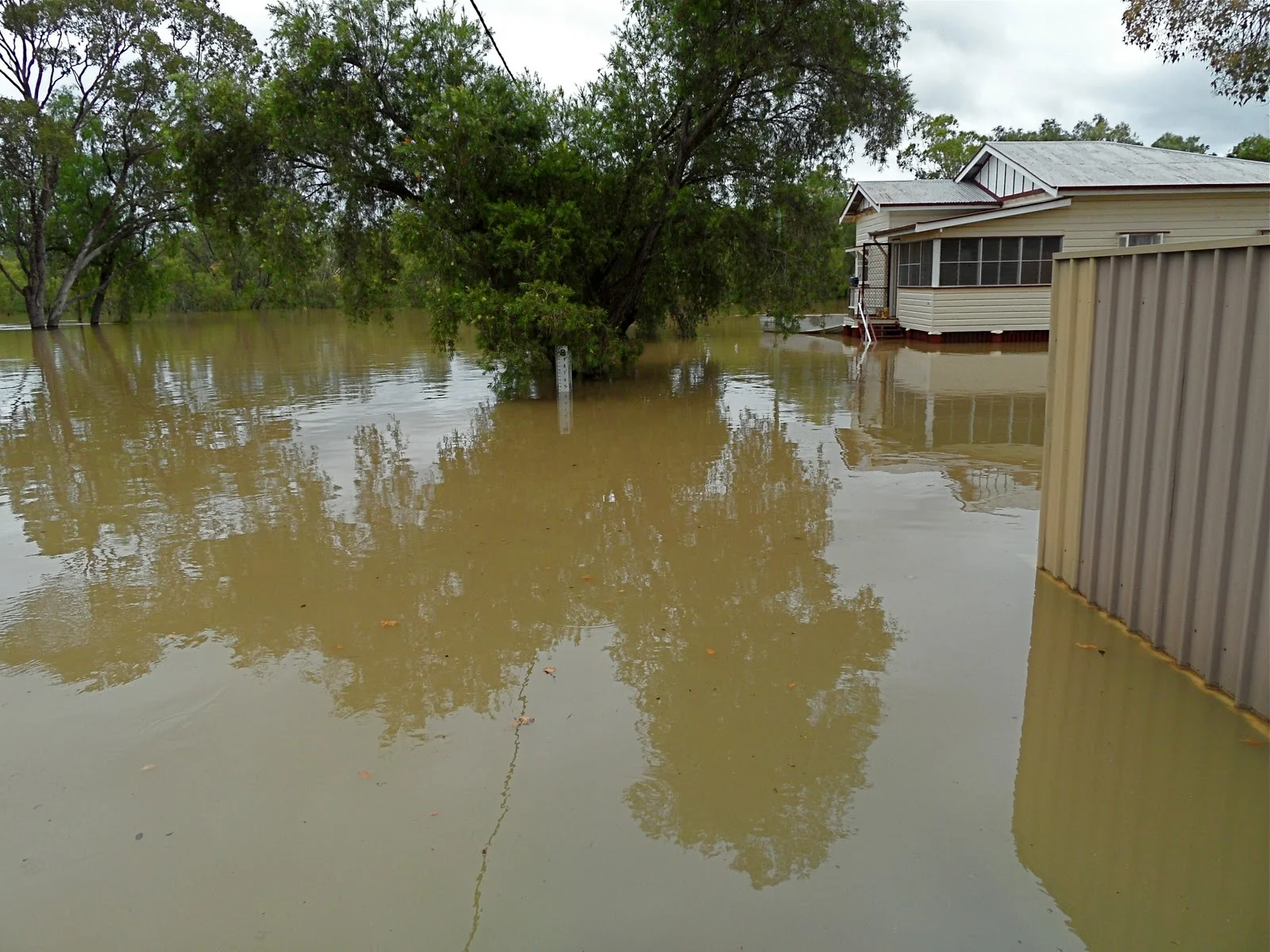 Lush Evacuation Warning Issued As Flood Peak Looms For Chinchilla Wallpaper Digital Art