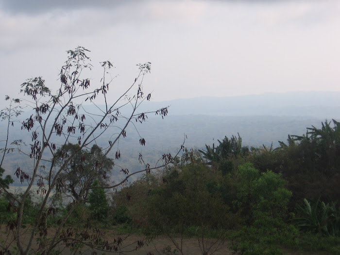 Hill top