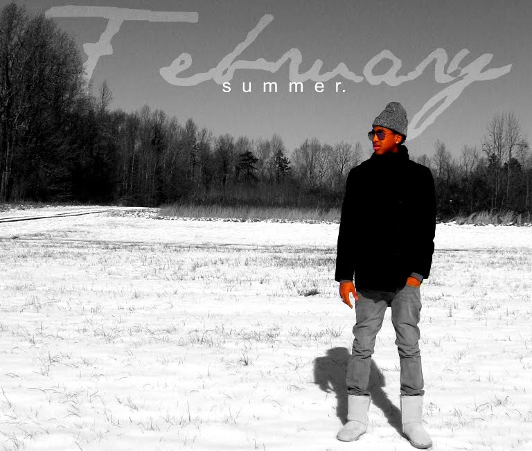diAry oF a FebRuaRy $ummeR