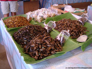 Quelques un des insectes qu'on trouve sur les marchés Thaïlandais. Ceux-ci sont prêts à manger.