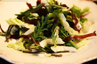Salade marine (laitue, plantain corne de cerf, dulse, laitue et haricot de mer)