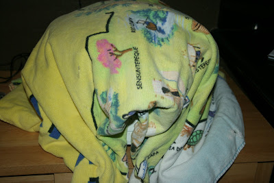 overnight yogurt in the slow cooker