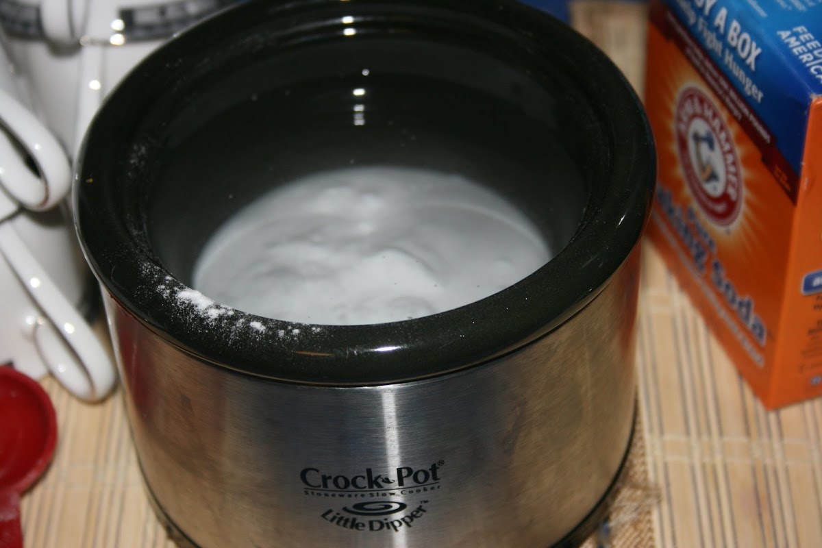 The CrockPot as an Air Freshener/ Odor Neutralizer - A Year of Slow Cooking