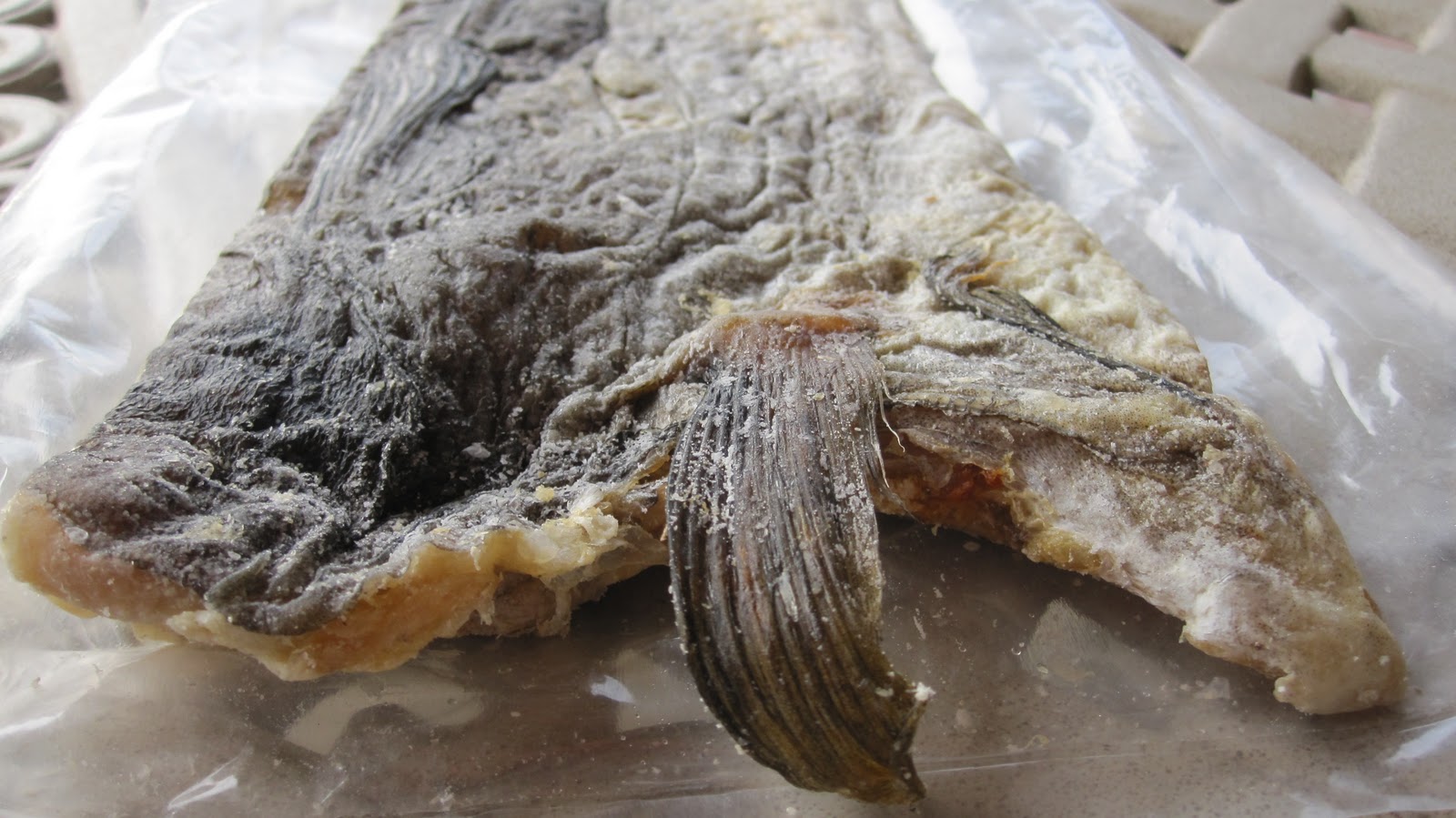 Cannundrums Boiled Salt Cod