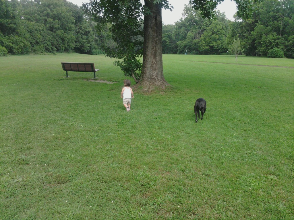 Downingtown Moms Lloyd Ave Doggy Park and Playground