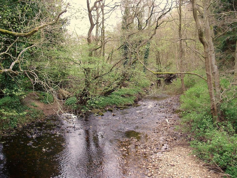 The Faery Folklorist: Netherwitton Fairies