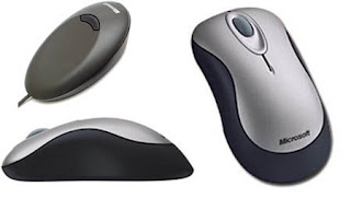 Microsoft Wireless Optical Mouse 2000.