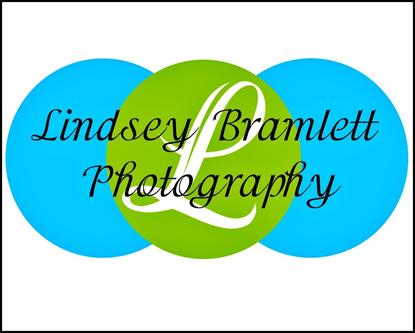Lindsey Bramlett Photography: The Blog