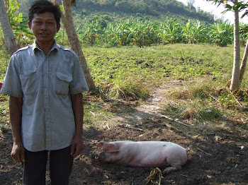 Harge Saret-Pig,Chickens and Pig Stall