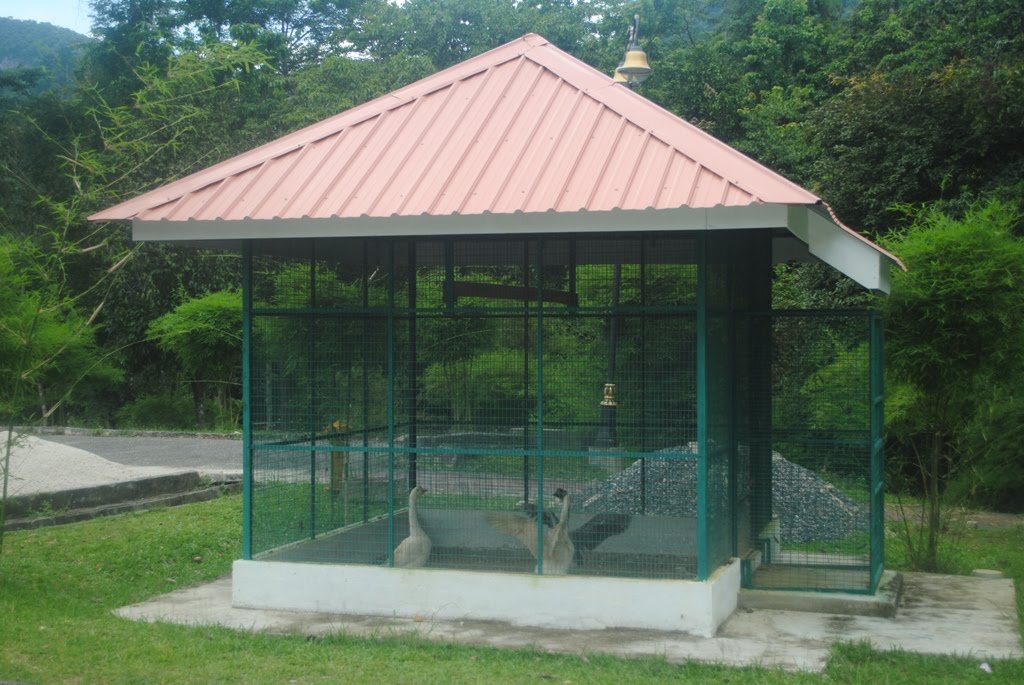 37+ Desain Kandang Kelinci Di Taman PNG | Blog Garuda Cyber