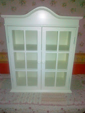 NEW GLASS CABINET (26 inch height x 22 inch length x 9 inch breadth )