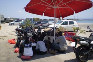 [lathrometanastes2.jpg]