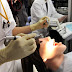Ρομποτικό…πειραματόζωο για την εκπαίδευση των Ιαπώνων οδοντιάτρων